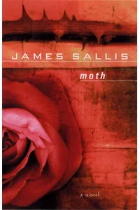 Moth