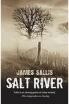Salt River