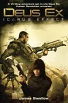 Icarus Effect