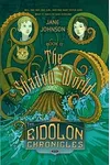 The Shadow World