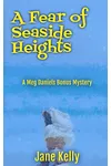 A Fear of Seaside Heights