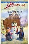 Snowbound in Dry Creek