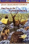 One Day in the Alpine Tundra