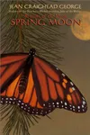 Spring Moon