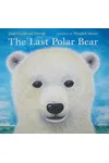 The Last Polar Bear