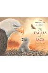 The Eagles are Back