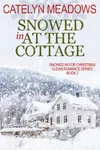 Snowed In at the Cottage