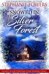 Snowed in at Silver Forest