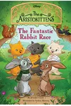 The Fantastic Rabbit Race