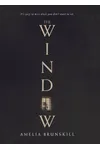 The Window