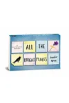 Random Minis: All the Bright Places