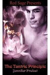 The Tantric Principle