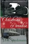 Christmas in Paradise