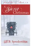 A Secret Christmas