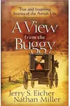 A View from the Buggy