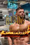 B1306