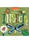 Exploring Insects