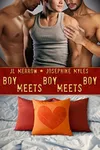 Boy Meets Boy Meets Boy