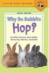Why Do Rabbits Hop?