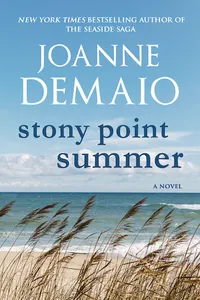 Stony Point Summer