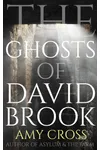 The Ghosts of David Brook
