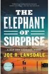 The Elephant of Surprise