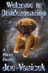 Welcome to Condescension