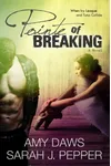 Pointe of Breaking