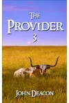 The Provider 3