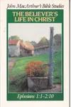 The Believer's Life in Christ