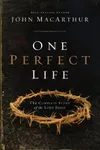 One Perfect Life