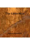 The Little Man