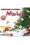 Christmas Is Coming, Marley