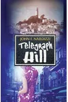 Telegraph Hill