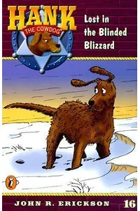 Lost in the Blinded Blizzard
