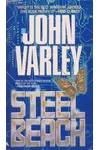 Steel Beach