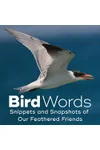 Bird Words