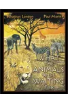 What the Animals Were Waiting For