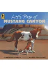 Little Pinto of Mustang Canyon