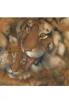 Little Lost Tiger