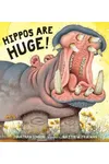 Hippos Are Huge!