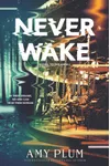 Neverwake
