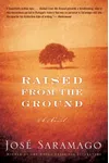 Raised from the Ground