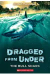 The Bull Shark