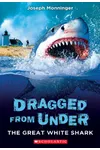 The Great White Shark