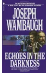 Echoes in the Darkness