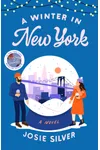 A Winter in New York