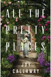 All the Pretty Places of the Gilded Age