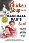 Baseball Fan's Soul