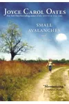 Small Avalanches and Other Stories